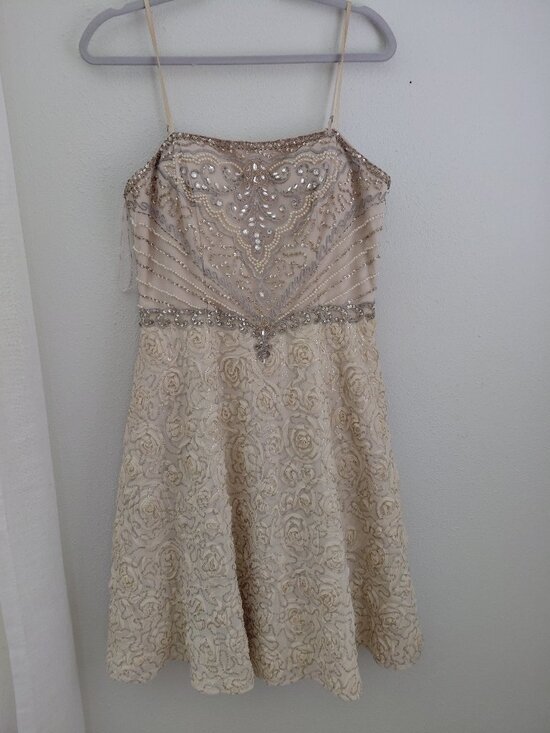 Sue Wong Dresses & Skirts - Vintage Sue Wong Nocturne Beaded Sequin Dress Gown Cream Party Cocktail